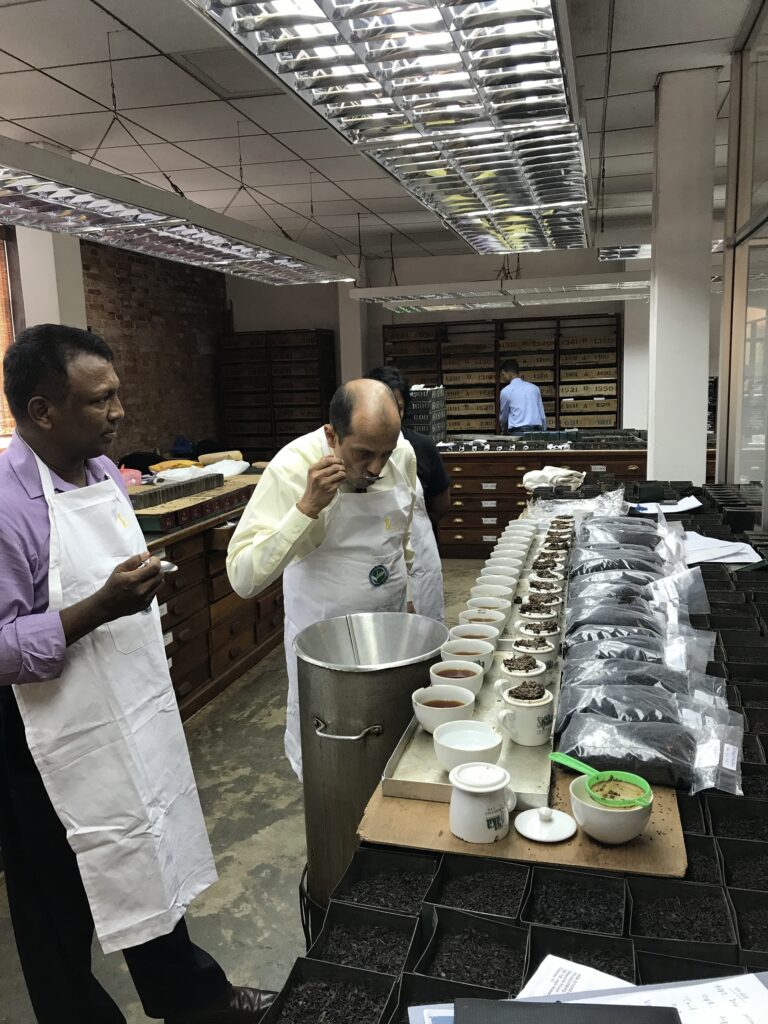 Ceylon Davora Tea manufacture hydropower International Sri Lanka Hpi.lk 