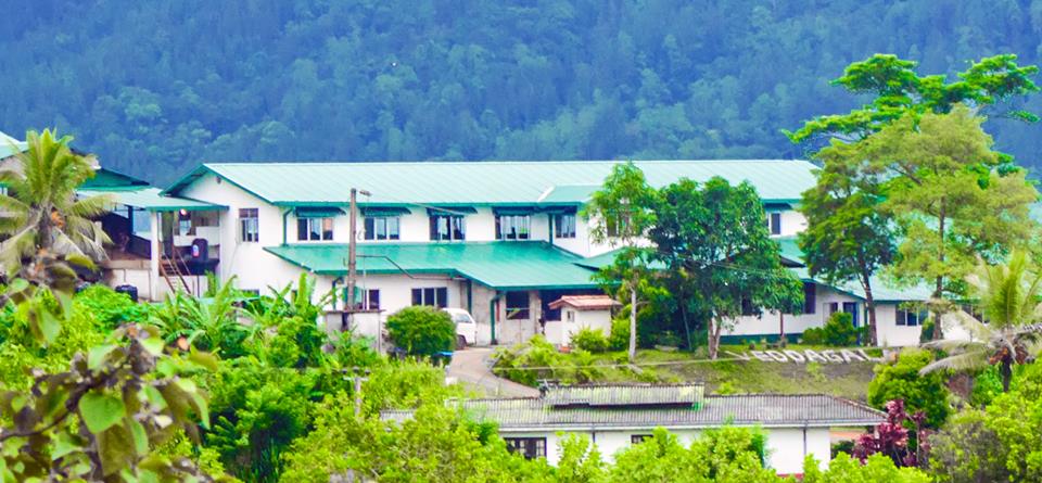 Factory Ceylon best Davora Tea manufacture hydropower International Sri Lanka Hpi.lk