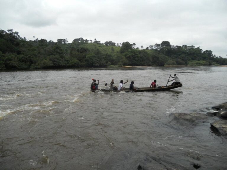 Feasibility Study in Guinea
