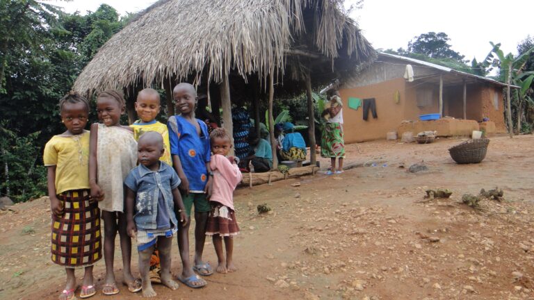 Yandohun Micro Hydro power Project – World Bank Funded Project in the Republic of Liberia